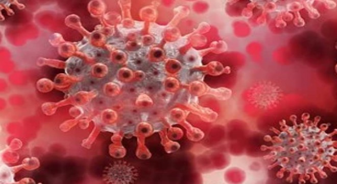 Koronavirüs salgınında ölenlerin sayısı 8 bin 498`eulaştı